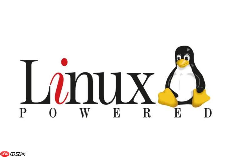 处理Linux命令\