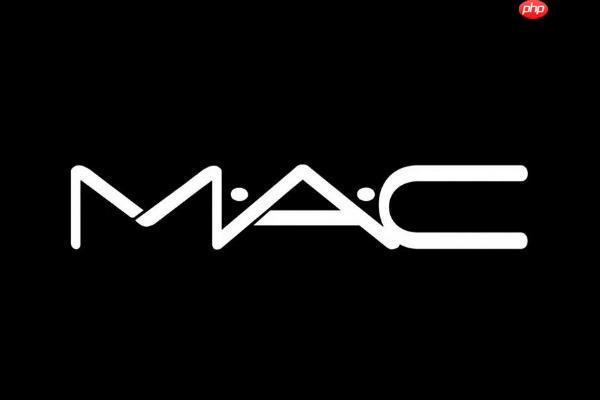 mac系统ppt怎么保存