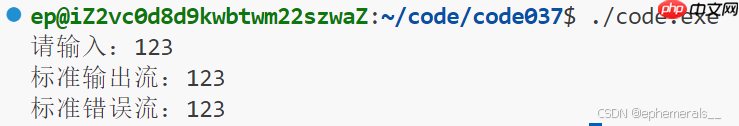【Linux】基础文件IO