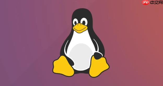 Linux环境变量管理技巧_LinuxShell环境定制与优化