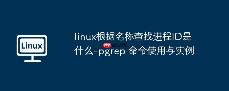linux根据名称查找进程id是什么-pgrep 命令使用与实例