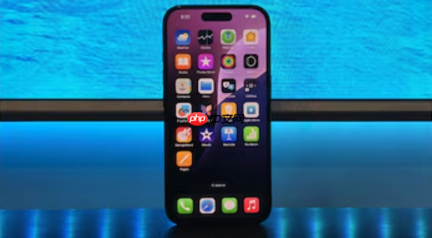 iPhone16灵动岛实用技巧分享 iPhone16灵动岛设置与高效应用攻略