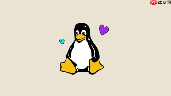 Linux如何优化磁盘I/O性能?_Linux调度算法与缓存优化技巧