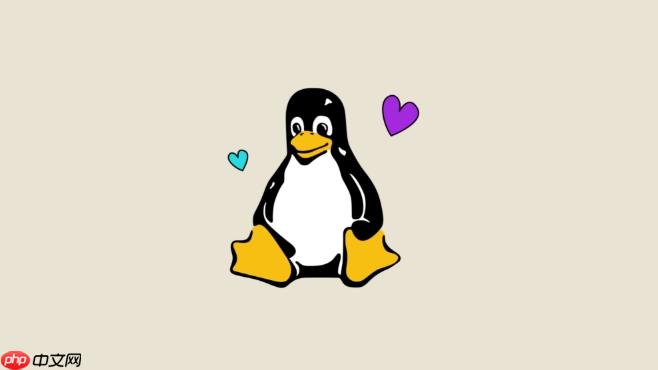 Linux文件系统结构解析_Linux目录与权限全面讲解