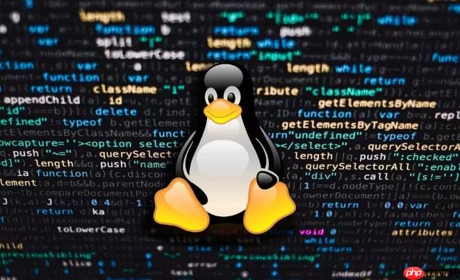 Linux文件系统结构解析_Linux目录与权限全面讲解
