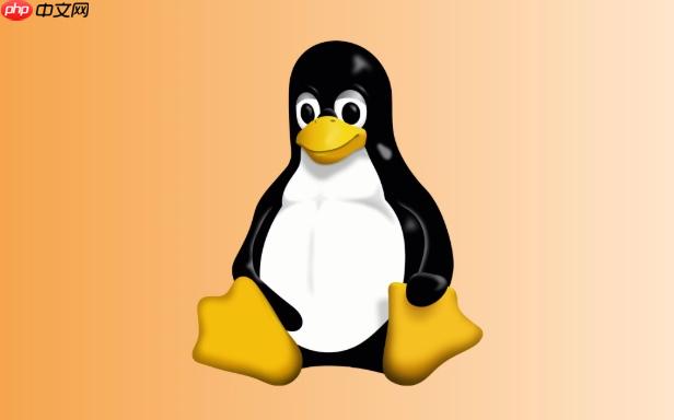 Linux磁盘性能优化技巧_LinuxIO调度与缓存管理