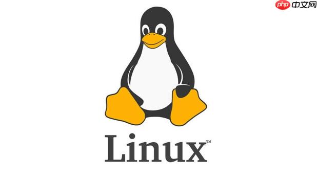 Linux如何实现磁盘管理？_Linux分区与LVM使用技巧