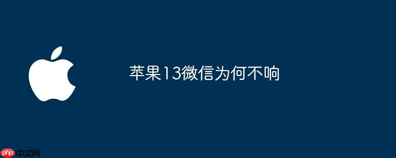 苹果13微信为何不响