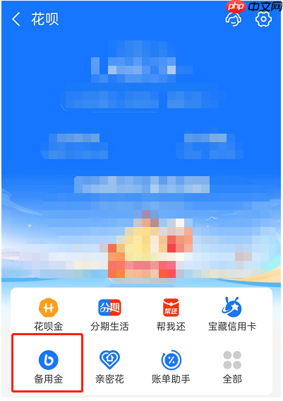 花呗可以给别的支付宝转钱吗？不可以！但可以转入银行卡了