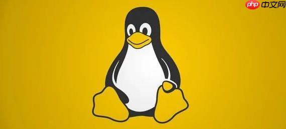 cat/etc/os-release命令详解_轻松获取linux版本号