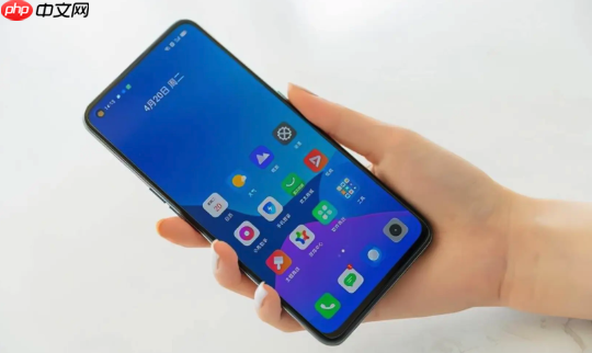华为nova 12 pro相机防抖功能怎么开 华为nova 12 pro影像防抖讲解
