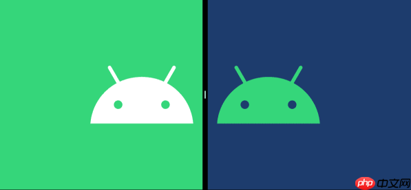 华为 nova 12 pro相机模糊怎么办 huawei nova 12 pro拍照优化