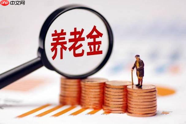 养老金补缴怎么计算金额_养老金补缴如何计算金额详细教程