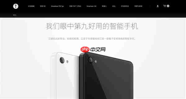 博主发现2025年了锤子官网依然能打开：锤子T1广告语变了