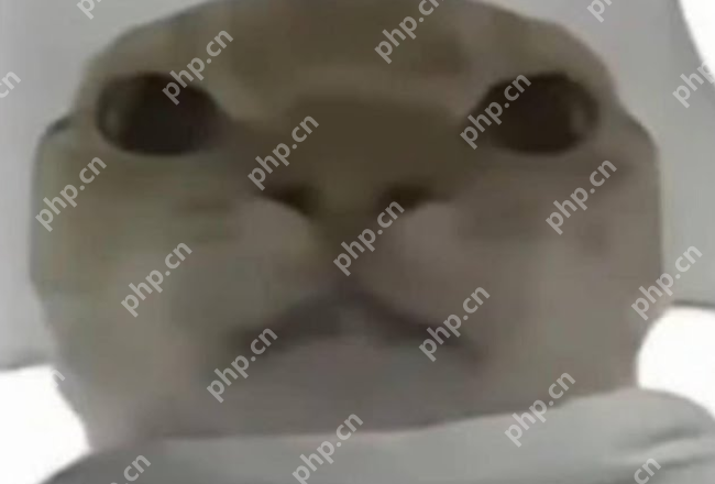 哈基米搞笑可爱图片头像 - 乐哥常识网