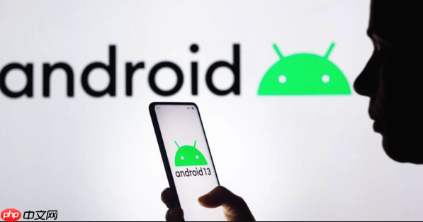 荣耀play 61 plus 充电异常检测_荣耀play 61 plus 快充优化