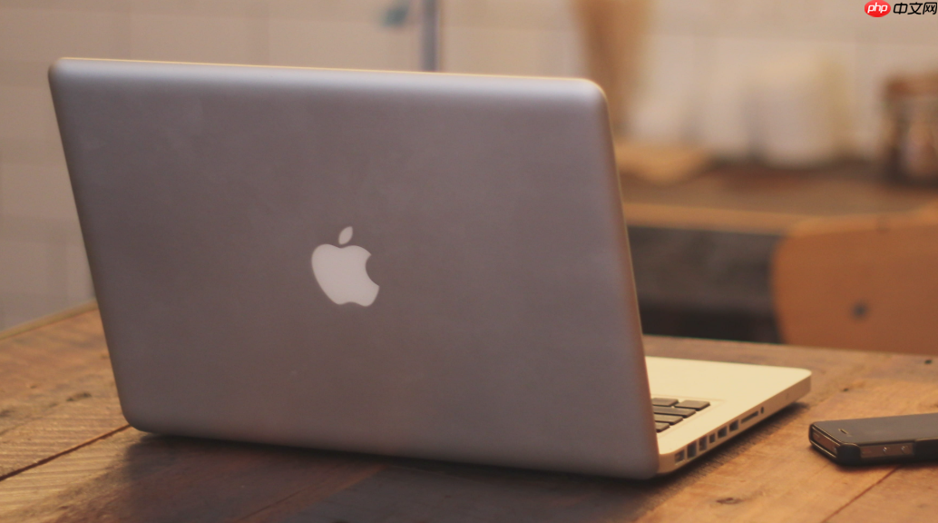 mac如何安装rosetta 2_apple芯片mac运行intel应用兼容层