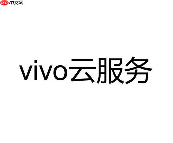 vivo云服务付费方案有哪些 vivo云服务的付费套餐有哪些