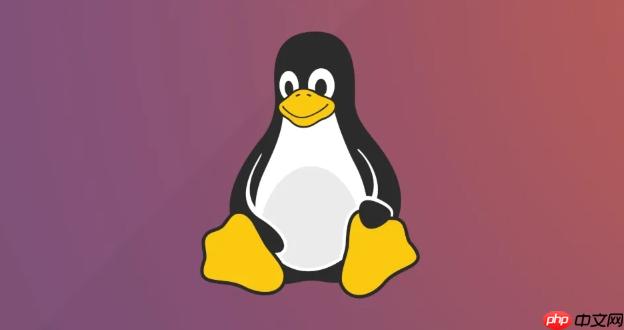 linux系统如何进行备份与恢复_使用tar与rsync工具的linux数据保护策略