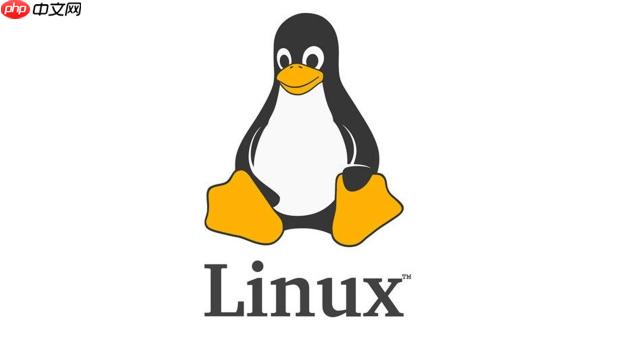 linux怎么下载文件_linux wget命令下载链接