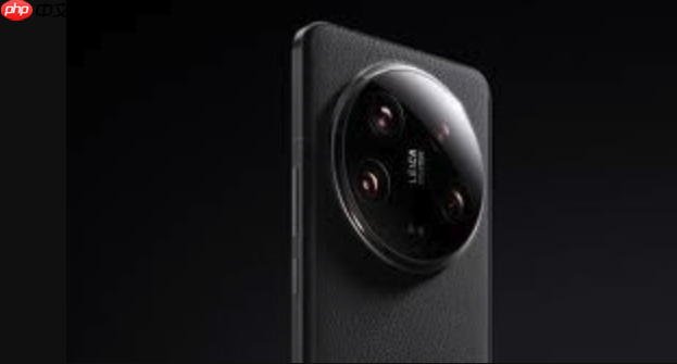 支付宝在vivo系统怎样提交注销申请_支付宝vivo系统提交注销申请指南【操作流程】