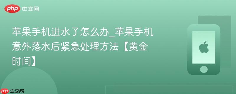 苹果手机进水了怎么办_苹果手机意外落水后紧急处理方法【黄金时间】