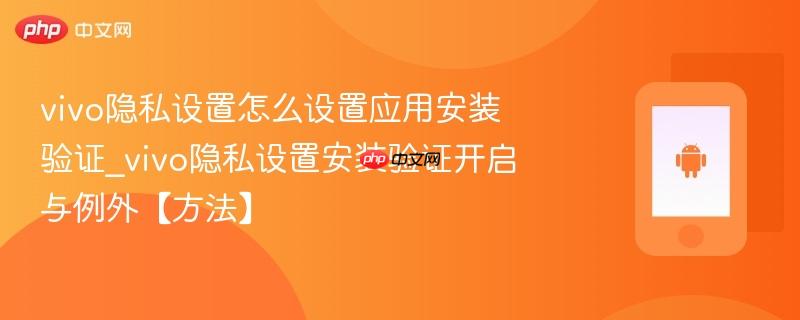 vivo隐私设置怎么设置应用安装验证_vivo隐私设置安装验证开启与例外【方法】