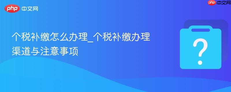 个税补缴怎么办理_个税补缴办理渠道与注意事项