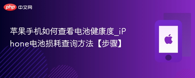 苹果手机如何查看电池健康度_iphone电池损耗查询方法【步骤】 - 乐哥常识网