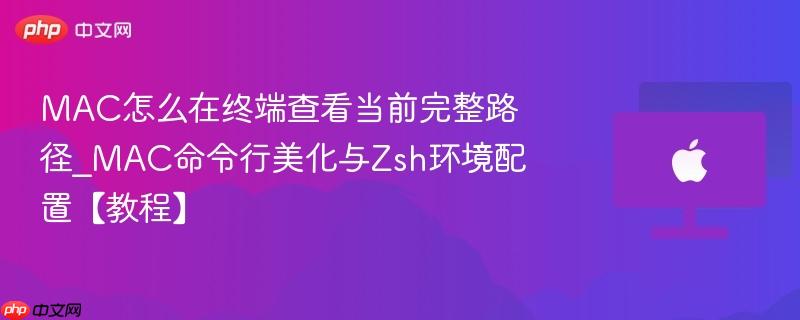 mac怎么在终端查看当前完整路径_mac命令行美化与zsh环境配置【教程】