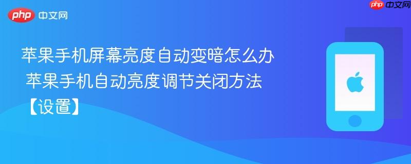 苹果手机屏幕亮度自动变暗怎么办 苹果手机自动亮度调节关闭方法【设置】