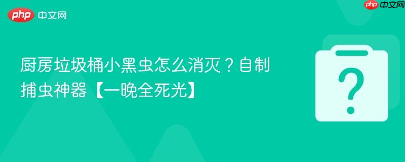 厨房垃圾桶小黑虫怎么消灭？自制捕虫神器【一晚全死光】