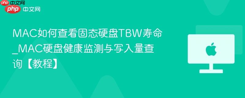 mac如何查看固态硬盘tbw寿命_mac硬盘健康监测与写入量查询【教程】