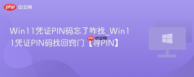 win11凭证pin码忘了咋找_win11凭证pin码找回窍门【寻pin】