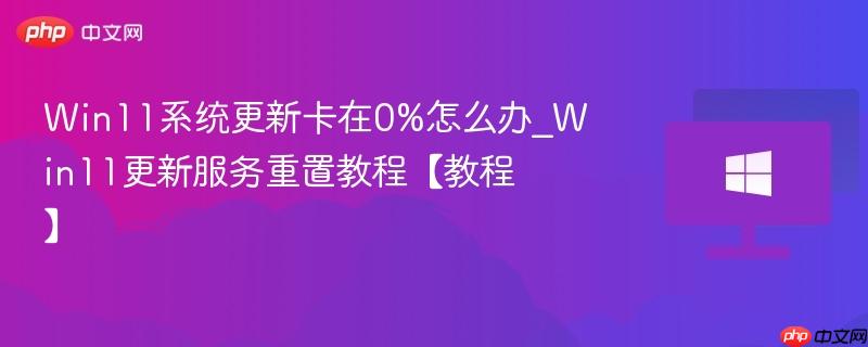 win11系统更新卡在0%怎么办_win11更新服务重置教程【教程】