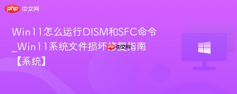 win11怎么运行dism和sfc命令_win11系统文件损坏修复指南【系统】