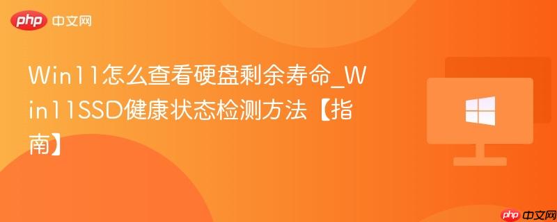 win11怎么查看硬盘剩余寿命_win11ssd健康状态检测方法【指南】