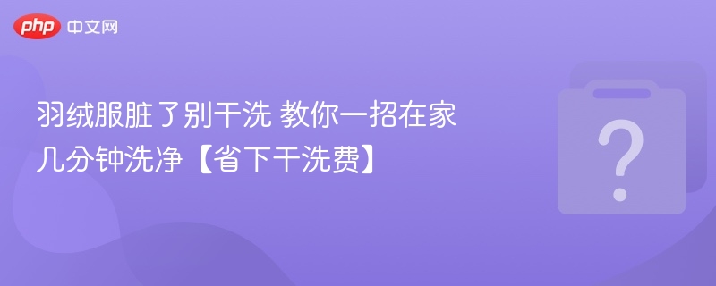 羽绒服脏了别干洗 教你一招在家几分钟洗净【省下干洗费】 - 乐哥常识网
