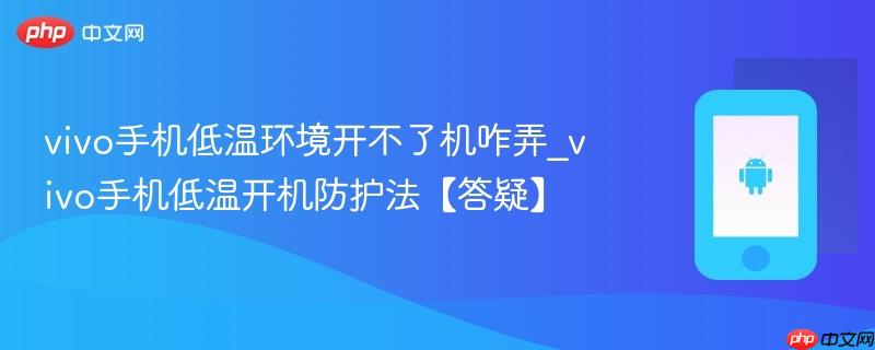 vivo手机低温环境开不了机咋弄_vivo手机低温开机防护法【答疑】