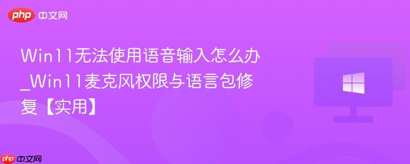 win11无法使用语音输入怎么办_win11麦克风权限与语言包修复【实用】
