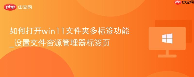 如何打开win11文件夹多标签功能_设置文件资源管理器标签页