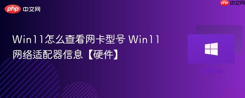 win11怎么查看网卡型号 win11网络适配器信息【硬件】