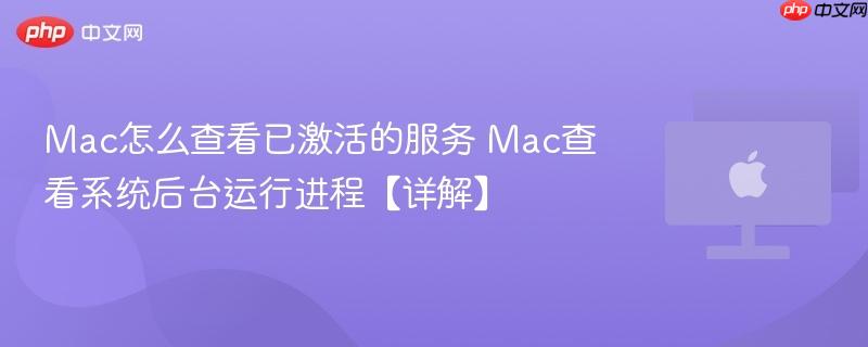 mac怎么查看已激活的服务 mac查看系统后台运行进程【详解】