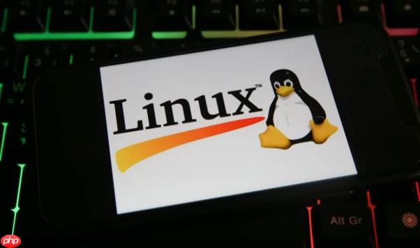 linux怎么查看命令帮助 linux使用man手册查询指令用法【基础】