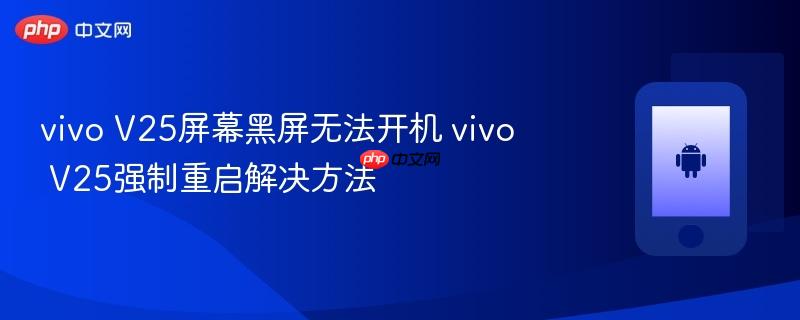 vivo v25屏幕黑屏无法开机 vivo v25强制重启解决方法