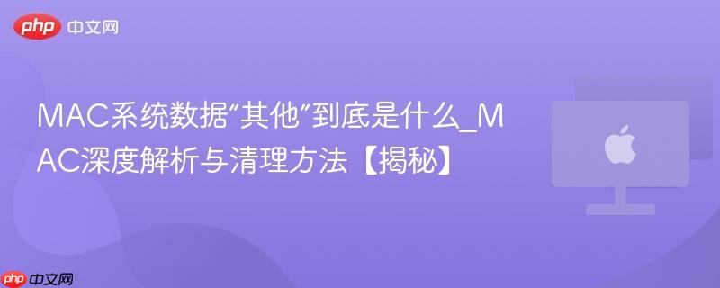 mac系统数据“其他”到底是什么_mac深度解析与清理方法【揭秘】