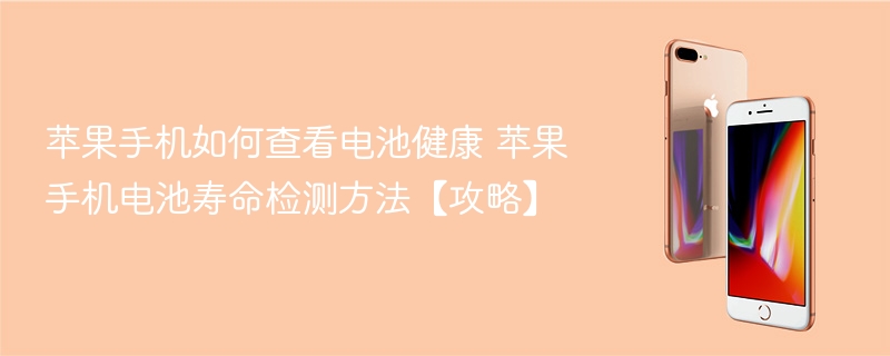 苹果手机如何查看电池健康 苹果手机电池寿命检测方法【攻略】 - 乐哥常识网