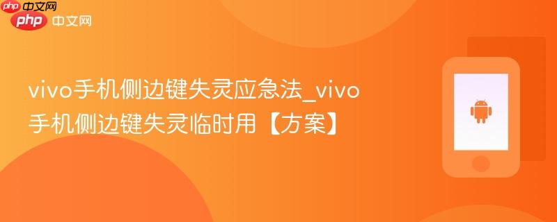 vivo手机侧边键失灵应急法_vivo手机侧边键失灵临时用【方案】