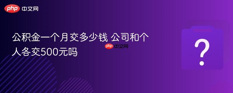 公积金一个月交多少钱 公司和个人各交500元吗