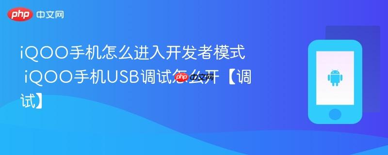 iqoo手机怎么进入开发者模式 iqoo手机usb调试怎么开【调试】